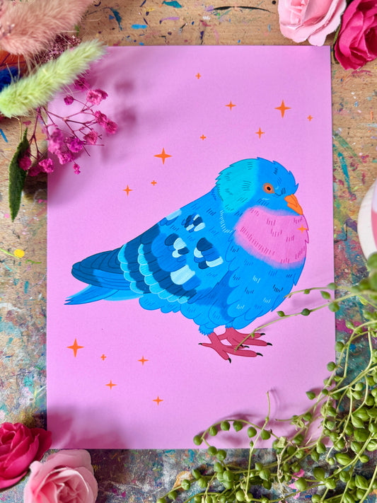 Fancy Pigeon - Print