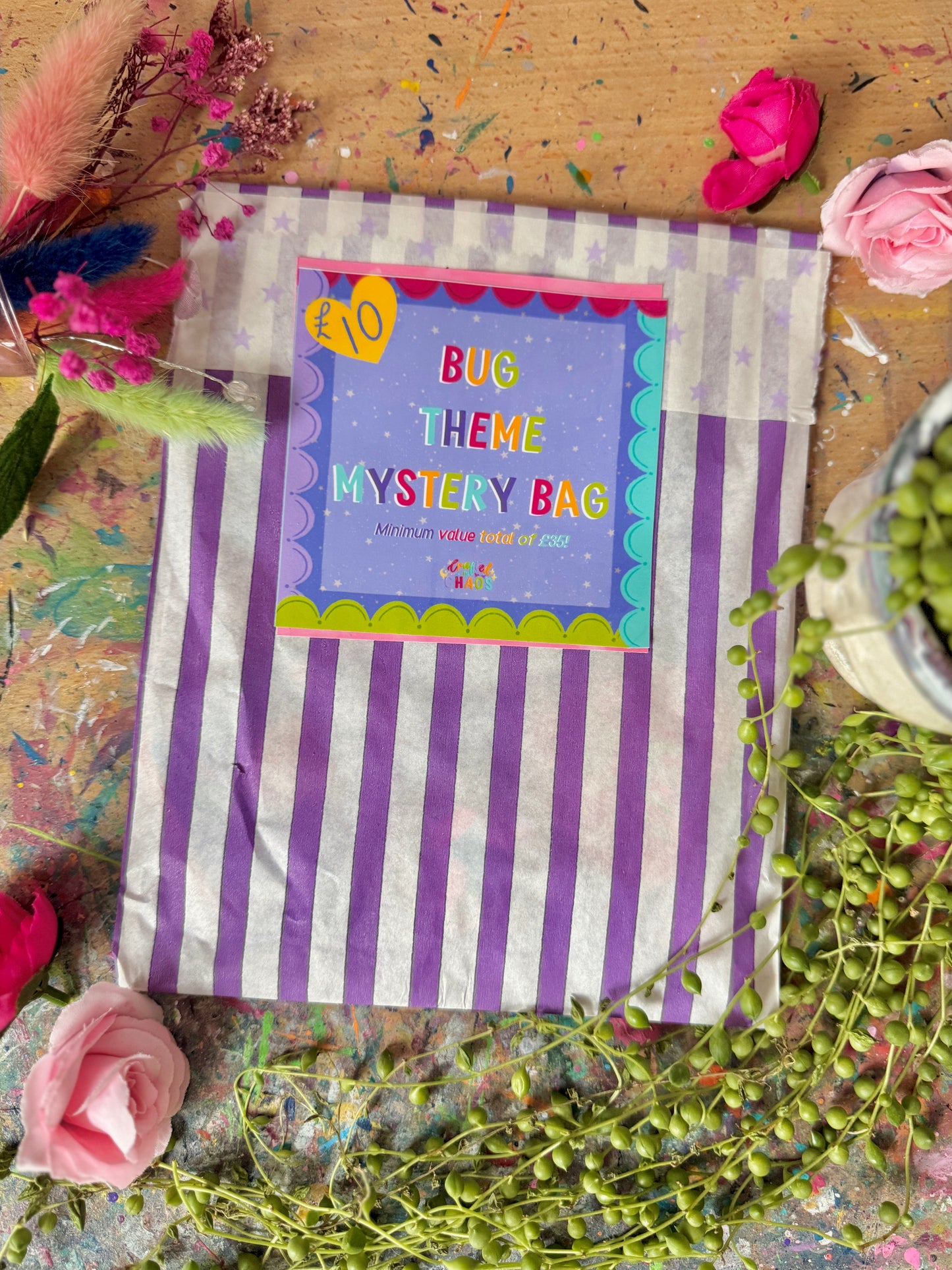 Mystery Bag! - Bug Themed Bundle