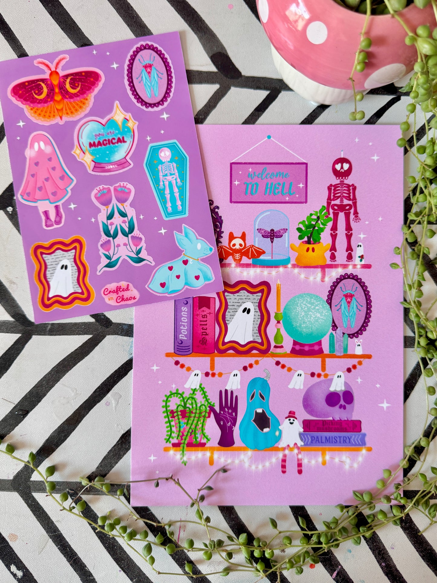 Witchy Shelves Bundle