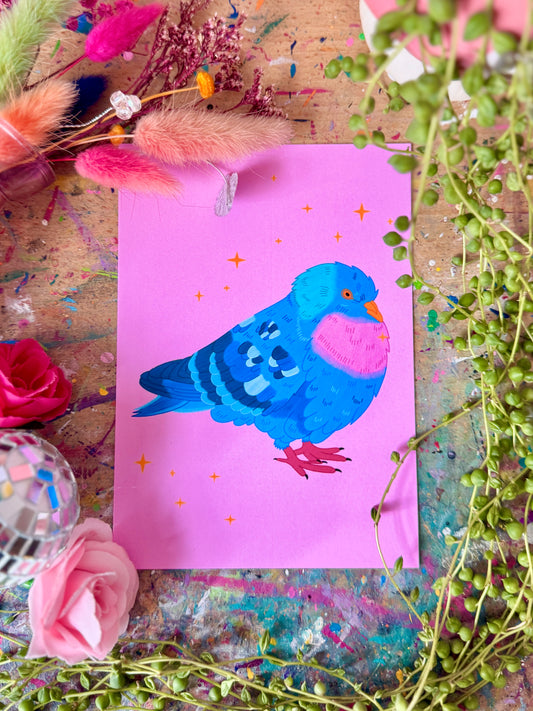 Fancy Pigeon - A6 Postcard